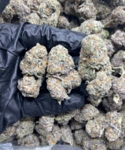 import placeholder for 16003