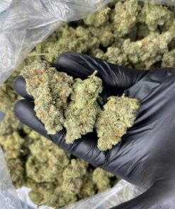 import placeholder for 16008