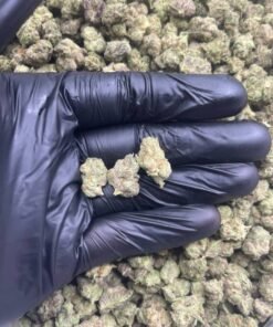 import placeholder for 15979