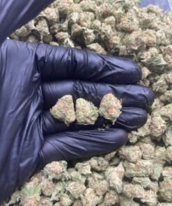 import placeholder for 16018