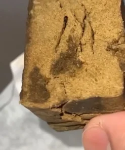 import placeholder for 17079