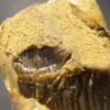 04- KMNTOGxRNTZ 190/45u 10 04-KMNTOGxRNTZ 190/45u Hash A Premium Cannabis Concentrate