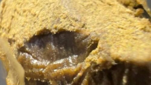 Rainbow Runtz Strain Hash Profiles: The Complete Connoisseur Guide To Rainbow-Derived Static Sift & Dry Sift 18 Contact Hash Caviar for Rainbow Runtz hash queries