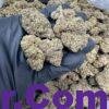 White Apple Tartz strain 3 import placeholder for 16342