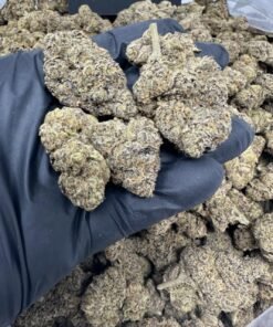 import placeholder for 16342