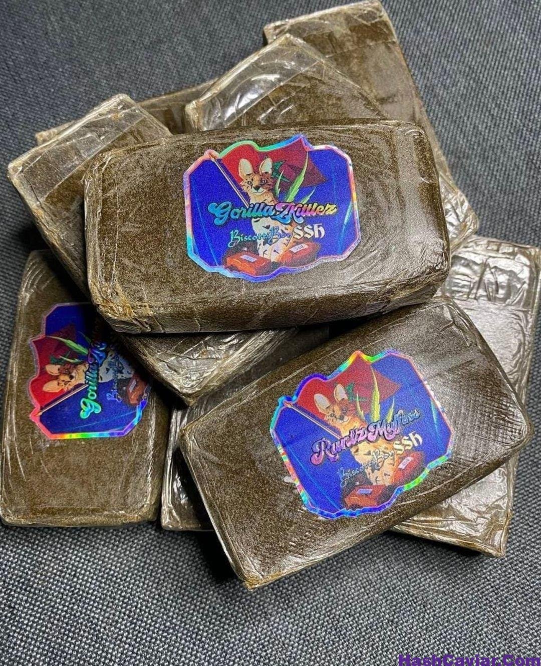 Biscotti Boys SSh