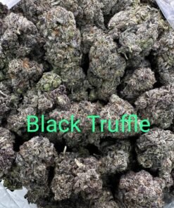 import placeholder for 16244