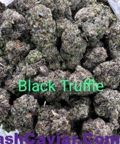 import placeholder for 16244