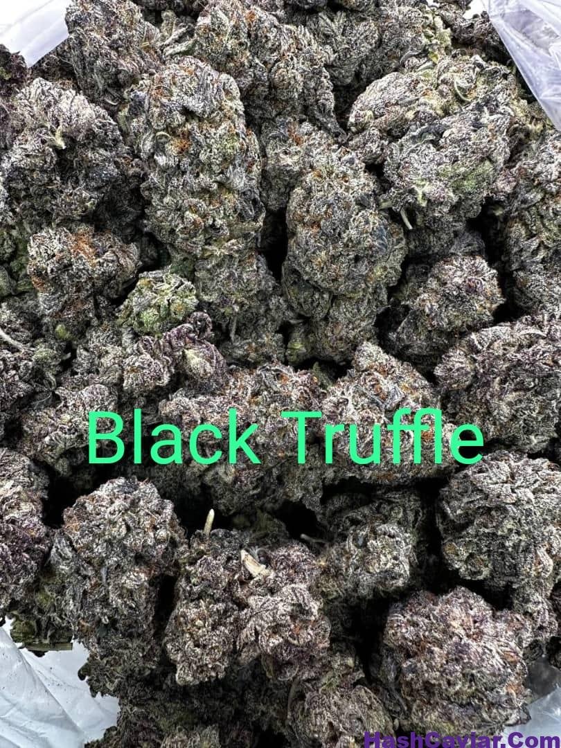 Black Truffle Strain for sale Deutschland
