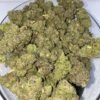 Blueberry Muffin Strain 2 import placeholder for 15723