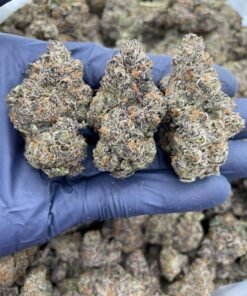 import placeholder for 16200