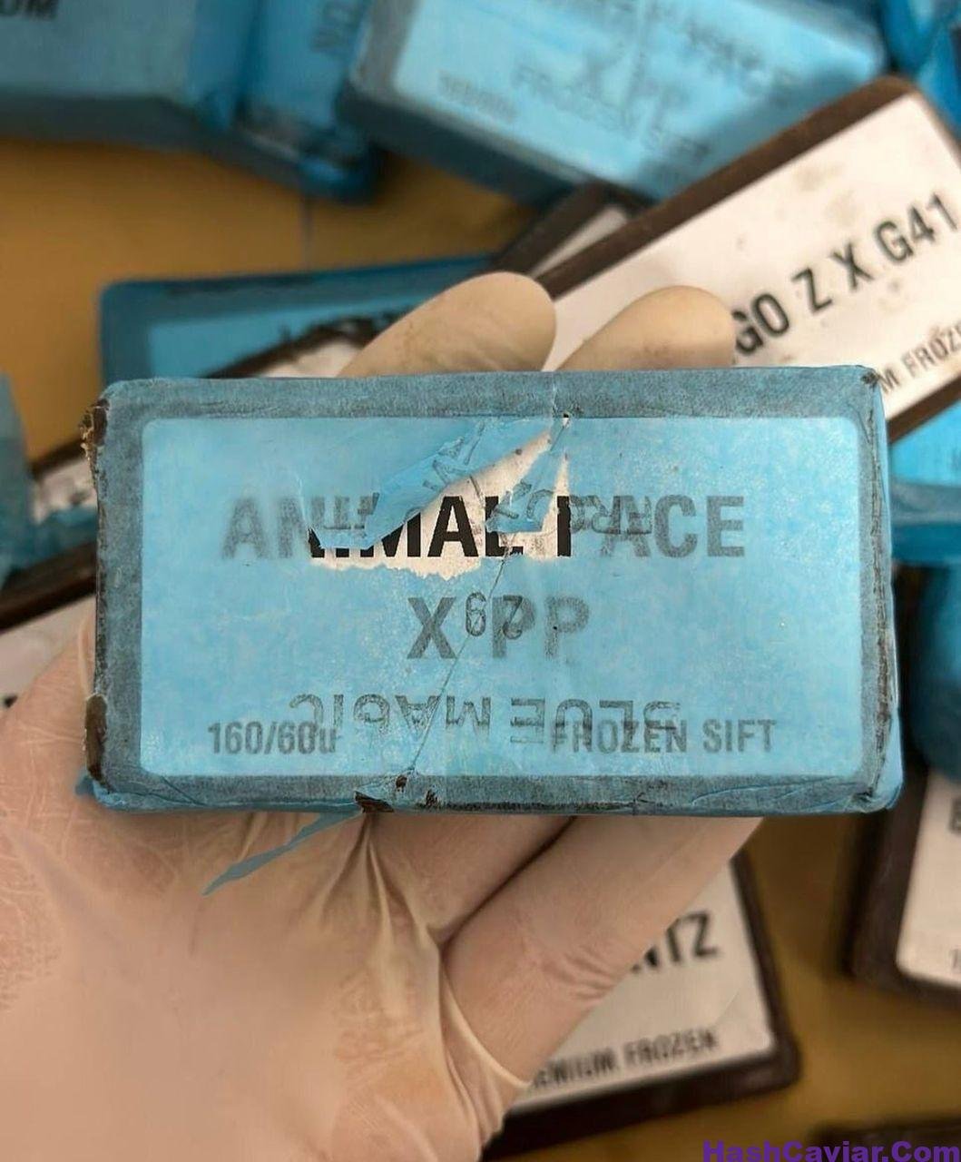 ANIMAL FACE X PP 160/60u
