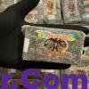 Tangeri Dream Filtred 10 Tangeri Dream Filtered Hash | 75-90% THC | Sweet Citrus & Earthy