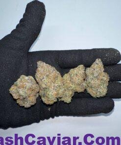 import placeholder for 16980