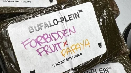 Bufalo Plain Frozen Sift Hash High Potency