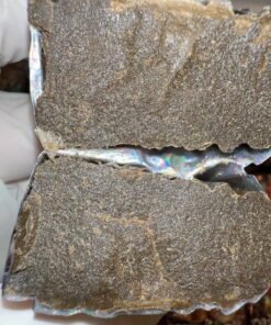 import placeholder for 15993