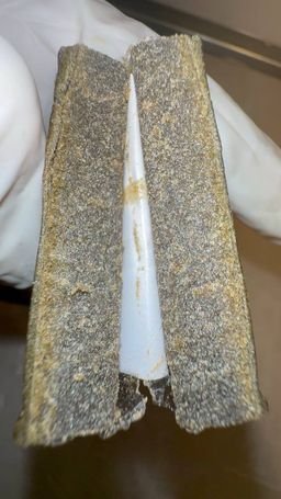 Mountain Giants 2 mountain giants