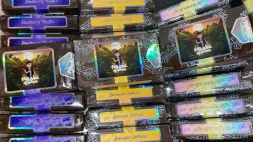 Hasbi Farms static sift quality and structure