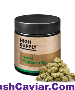 import placeholder for 16988