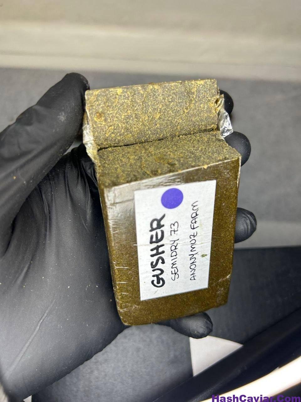 Gusher Semidry 73u 1 Buy Gusher Semidry 73u Hash Anonymouz Farms