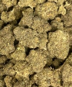 import placeholder for 16972