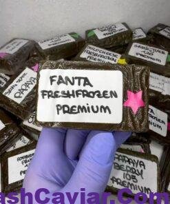 Anonymuz Frozen Hashish | Cold-Extracted Solventless & Flash-Frozen Terps