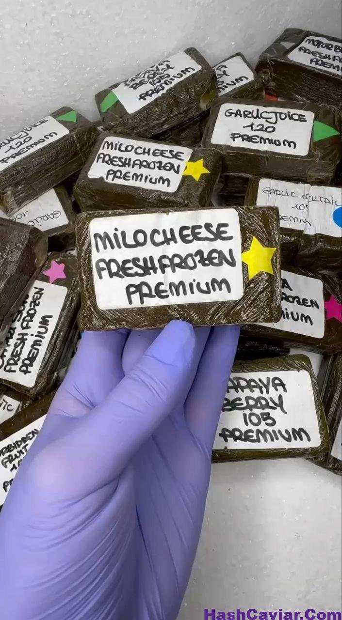 Anonymuz Frozen Hash 2 anonymuz frozen hash