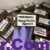 Anonymuz Frozen Hash 5 import placeholder for 17046