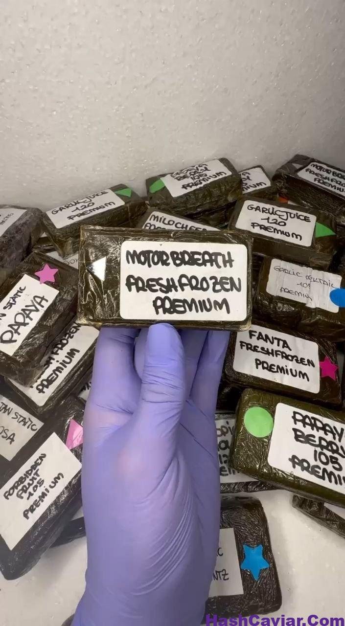 Anonymuz Frozen Hash