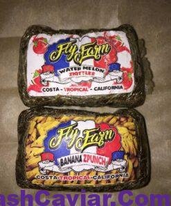 import placeholder for 15900