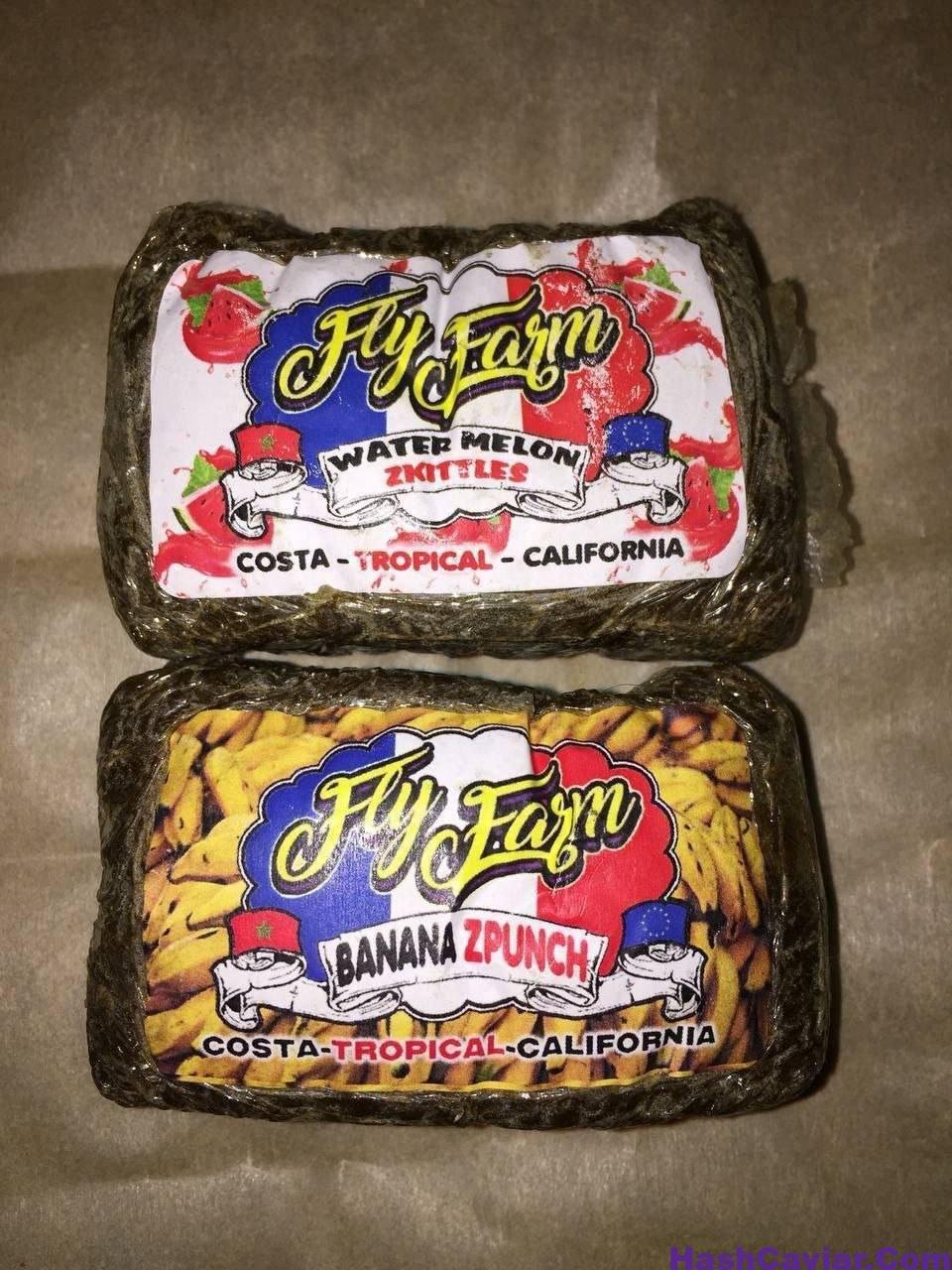 FLY FARM HASH