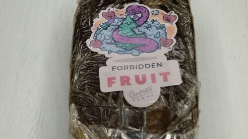 Forbidden Fruit dry sift hash