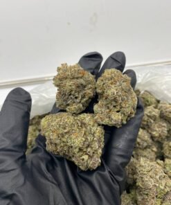 import placeholder for 16316