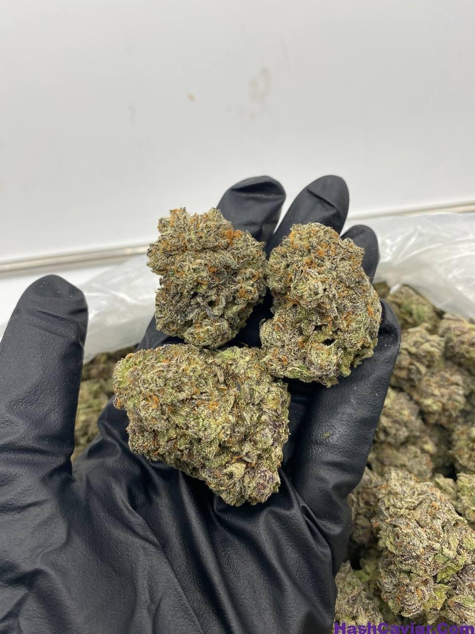 funnel cake strain