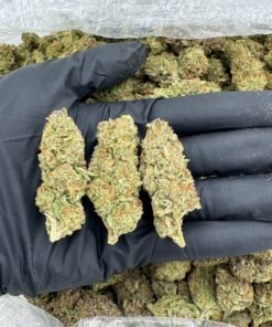 import placeholder for 16877