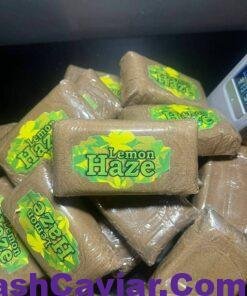 import placeholder for 15922