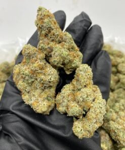 import placeholder for 16462