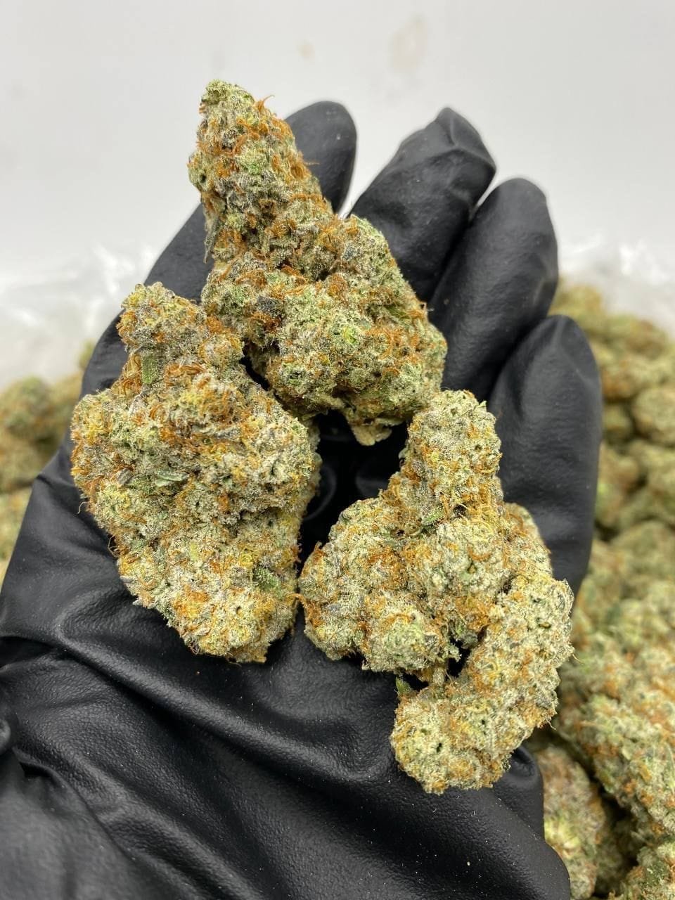 lemon fizz strain 1 import placeholder for 16462