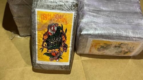 Mango Kush dry sift color example