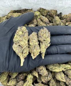 import placeholder for 16863