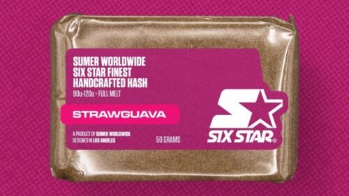 StaticRoom G.M.O Static Sift Side By Side Jars For Temperature Comparison Dabs