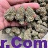 Pina colada strain 3 import placeholder for 16439