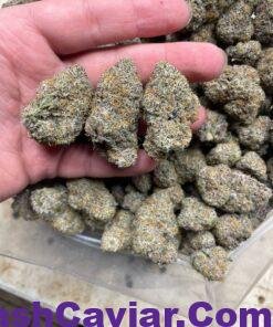 import placeholder for 16439