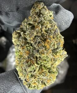 import placeholder for 16374