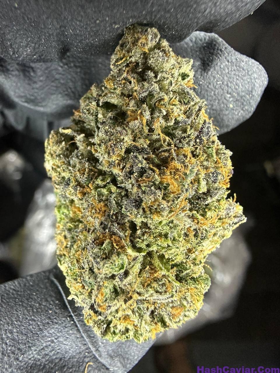 pop rox strain
