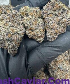 import placeholder for 16291