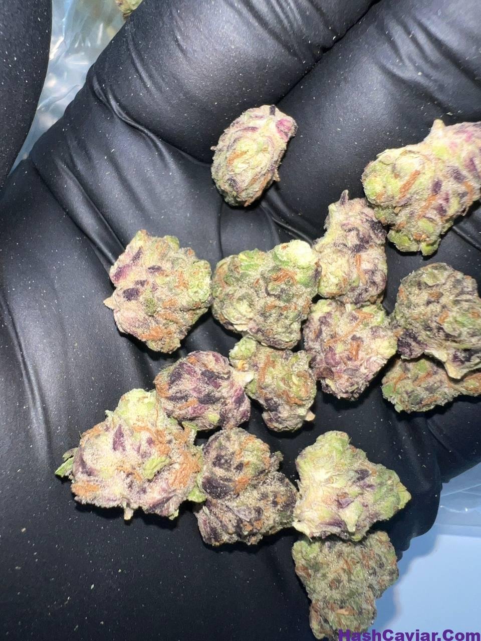 The Soap Strain