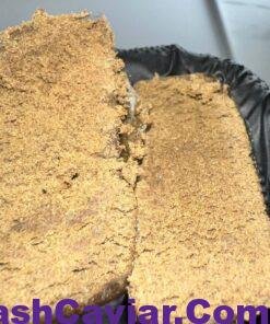 Tropicali 3 tropicali