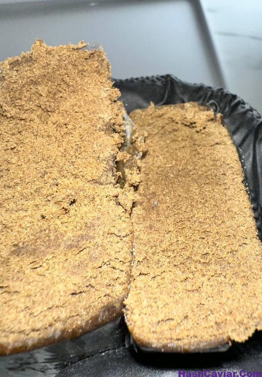 Tropicali 2 tropicali