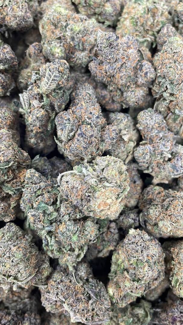 Truffle cake strain 1 import placeholder for 16327